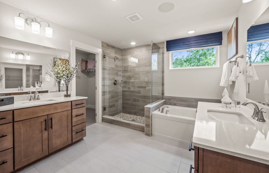 Owner's Bath