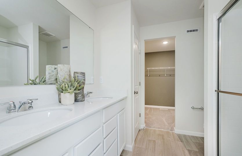 Owner's Bathroom