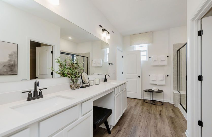 Owner's Bathroom