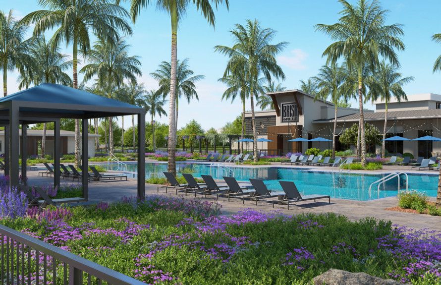 Resort Pool