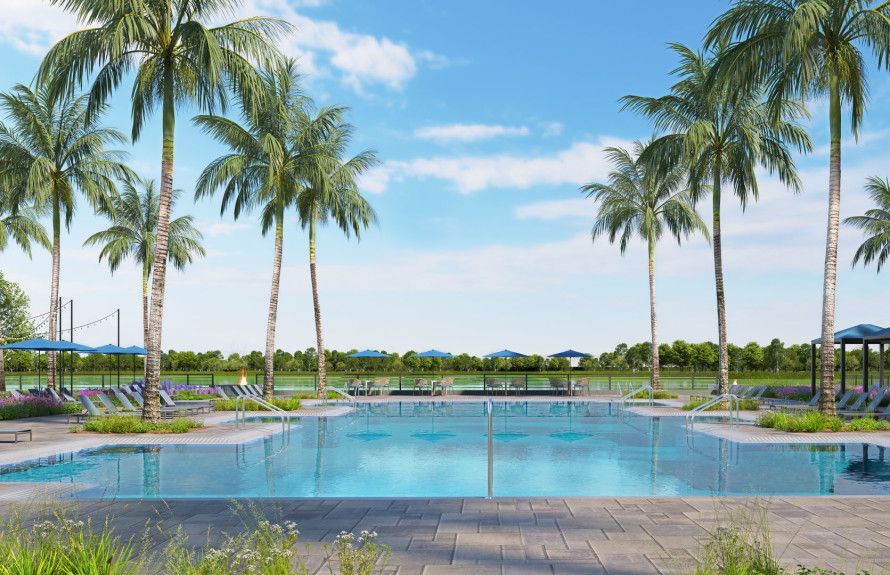 Resort Pool