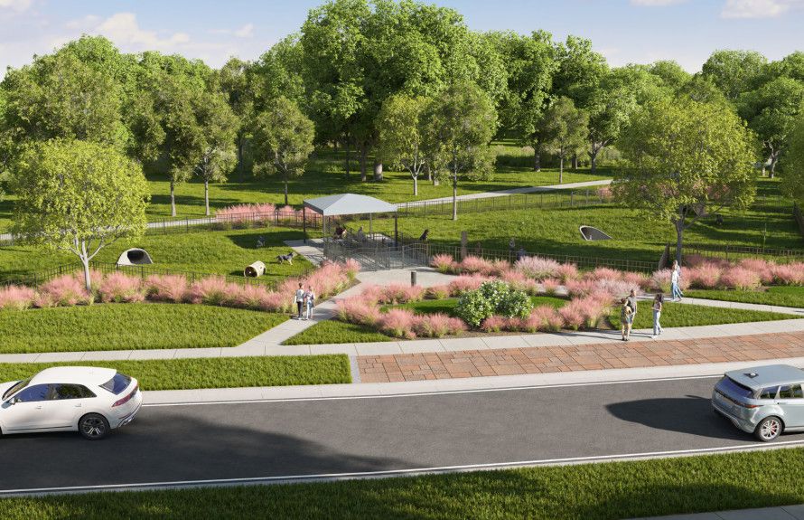 Dog Park Rendering
