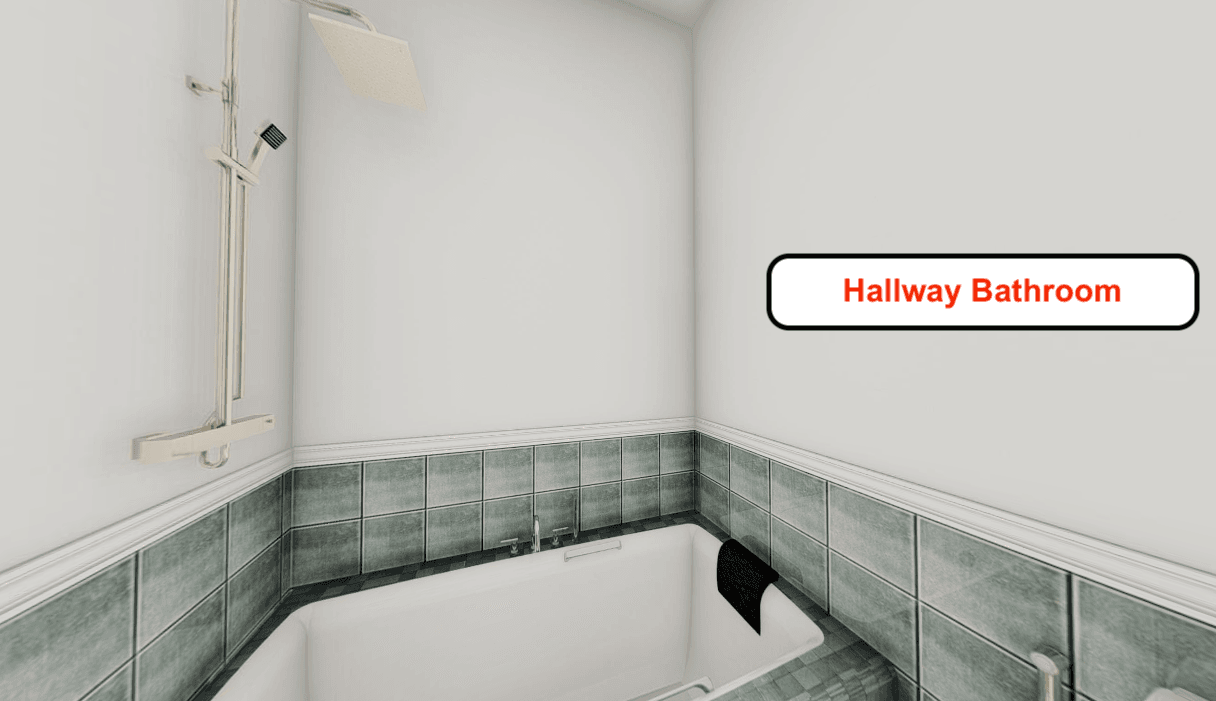 Hallway Bathroom