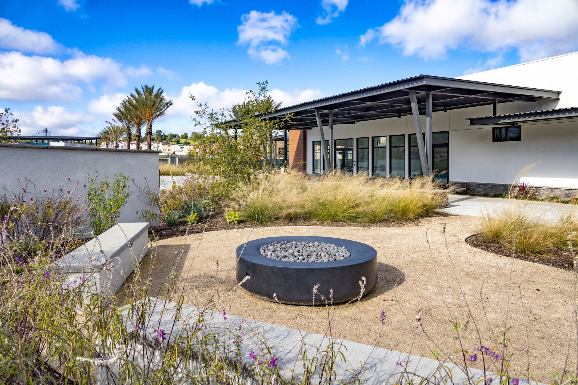 Community Fire Pit
