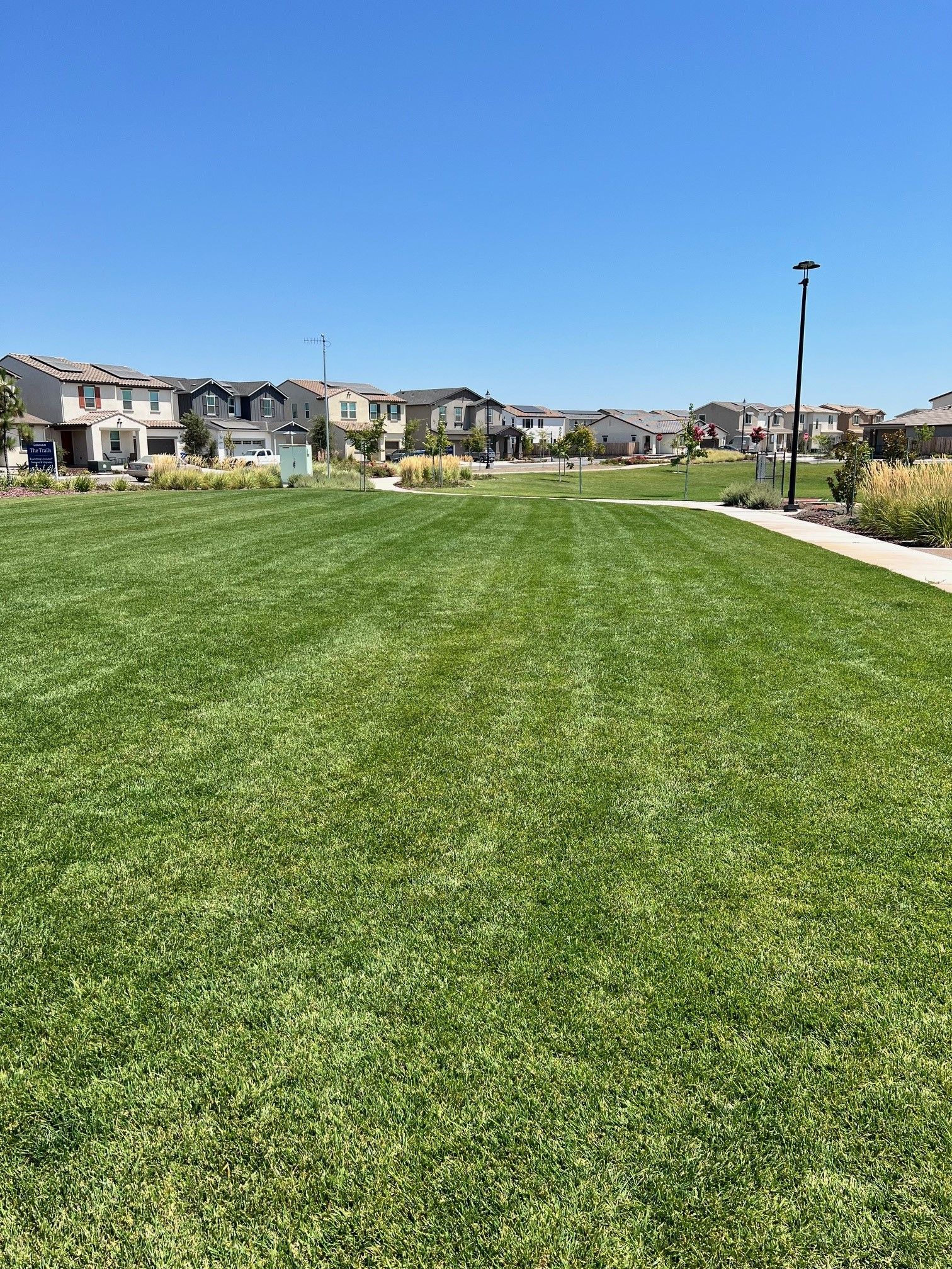 Lawn Space