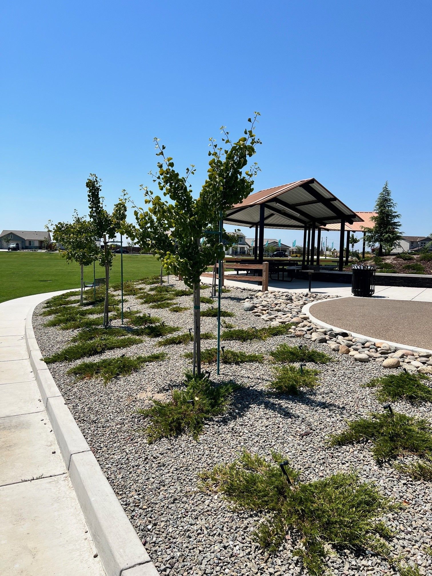 Shade Structure