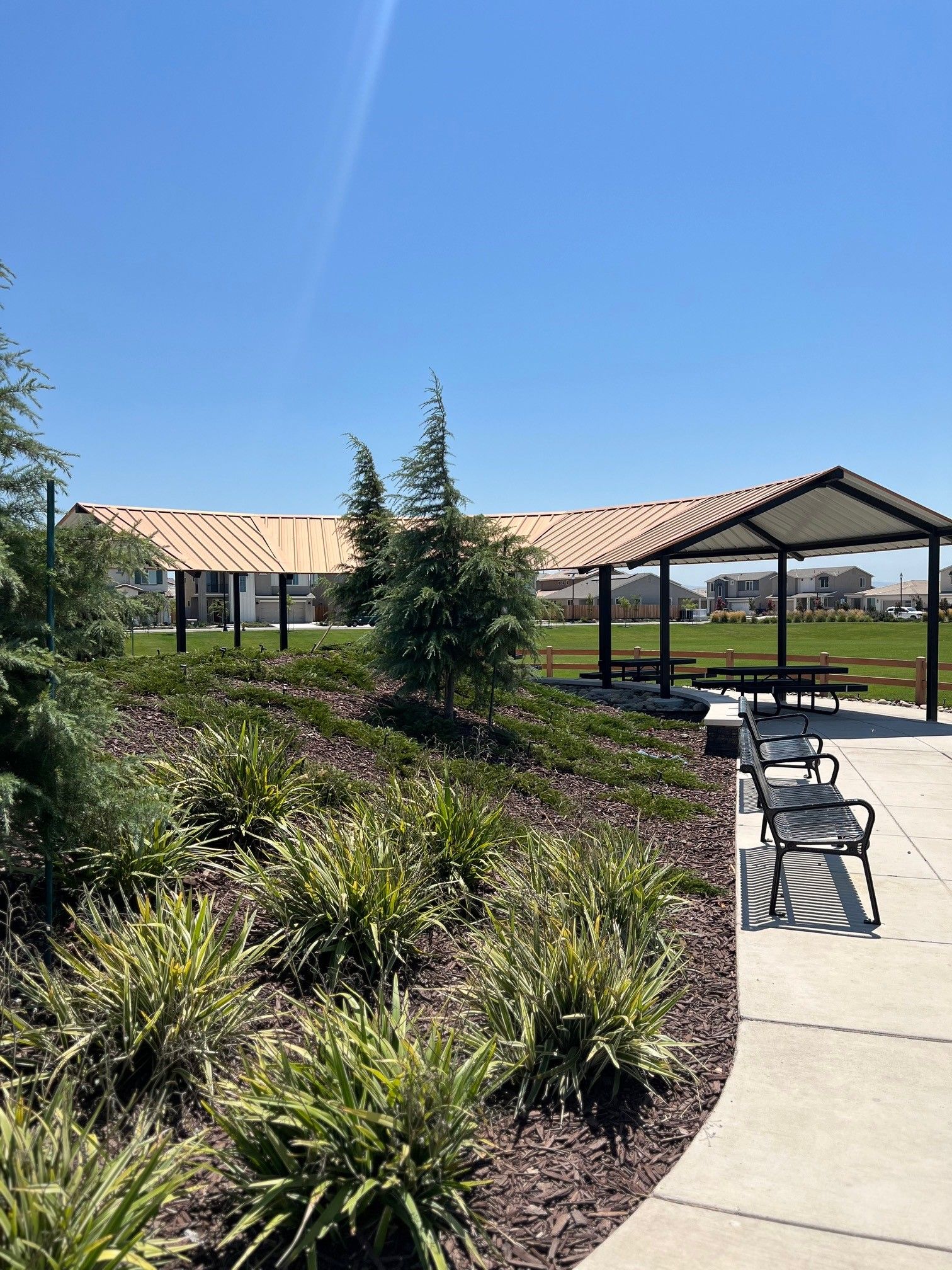 Shade Structure
