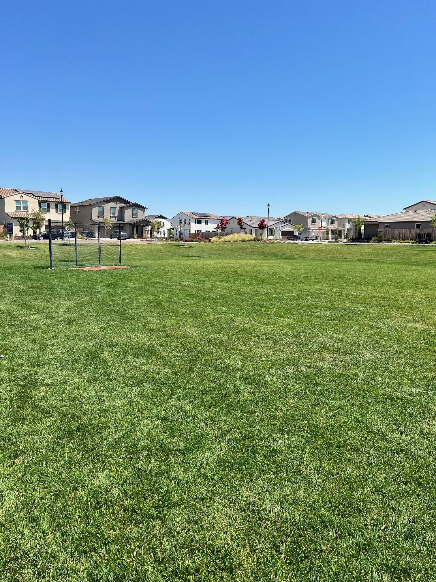 Wiffle Ball