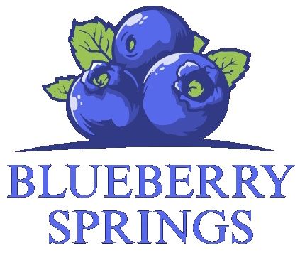 Blueberry Springs por Red Clover Homes en Logan Utah