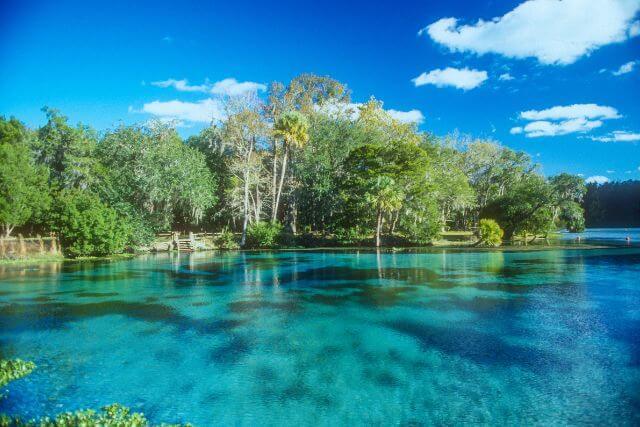 Little Salt Springs
