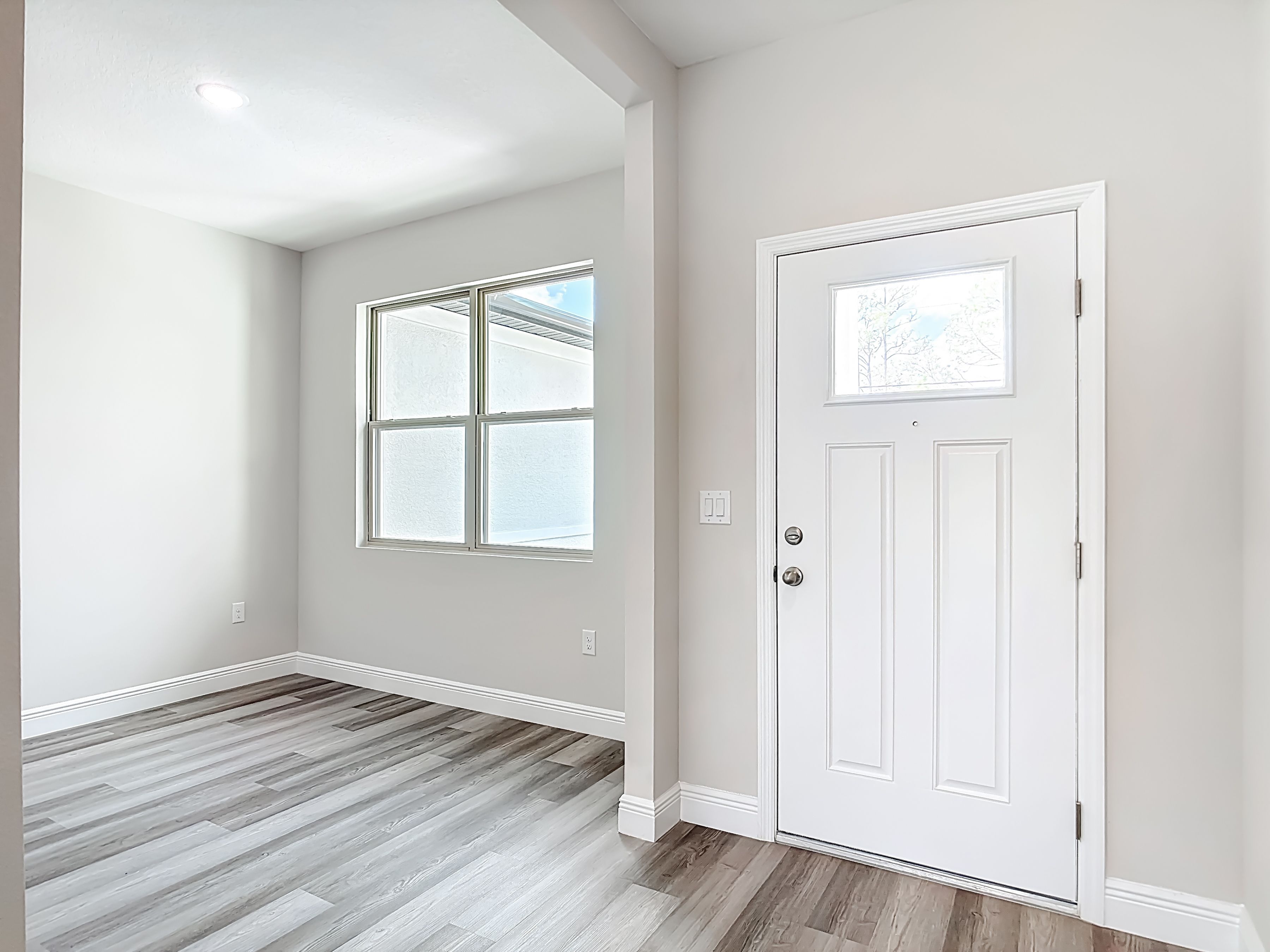 Designer entry door