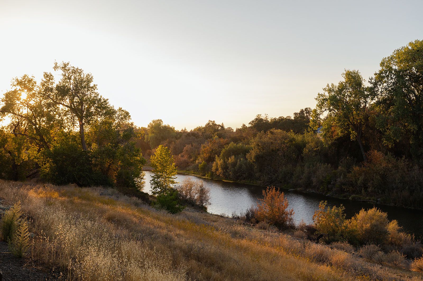 Local River w/ Access