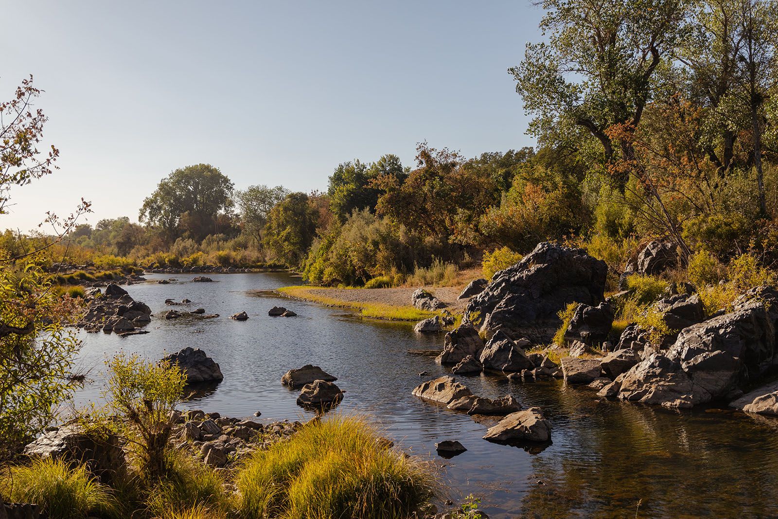 Local River w/ Access