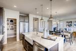 Home in Homestead by Landsea Homes