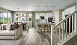 Laurelton - Green Cove Springs, FL