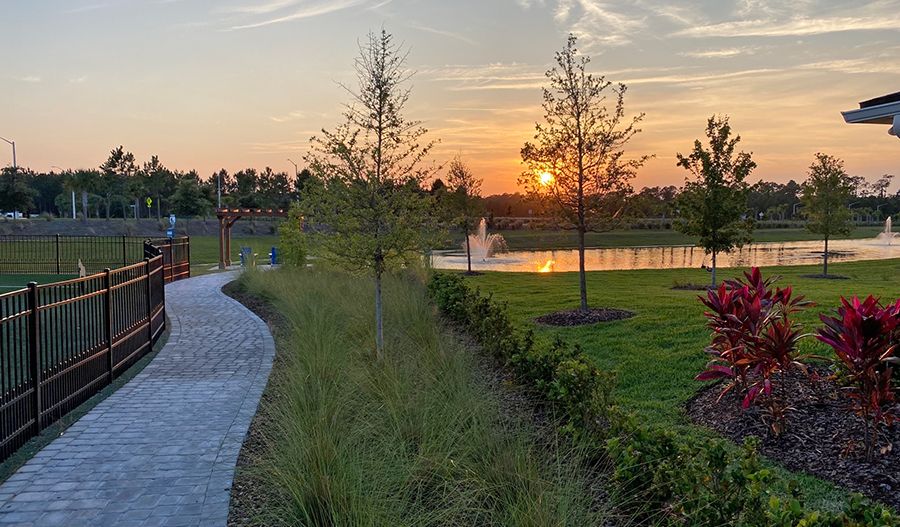 Trails at the Silverleaf Community