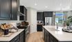 casa en Coastal Gardens por Richmond American Homes