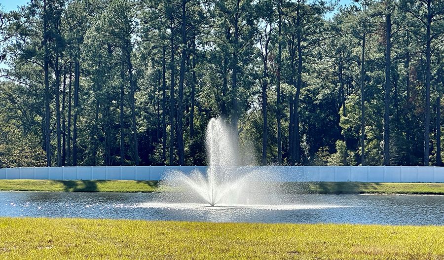 Pond