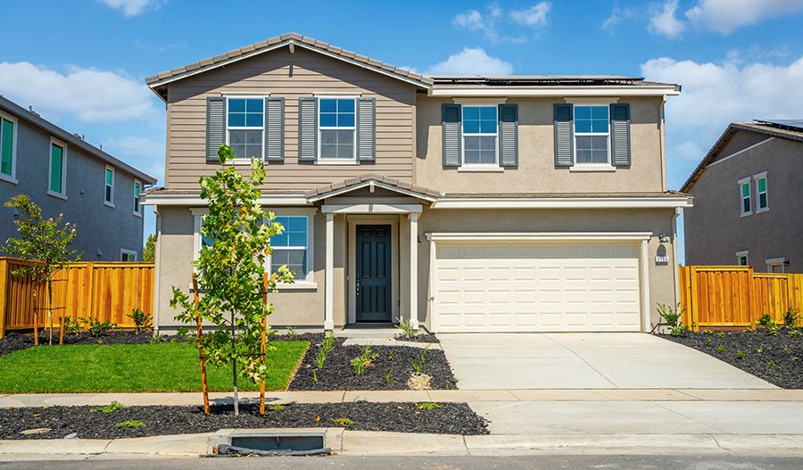 1165 Aldersgate Dr (Elderberry)