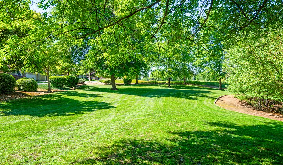 casa en Haven at Murieta por Richmond American Homes
