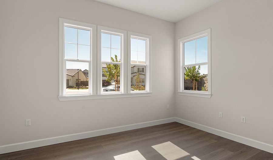 Study
