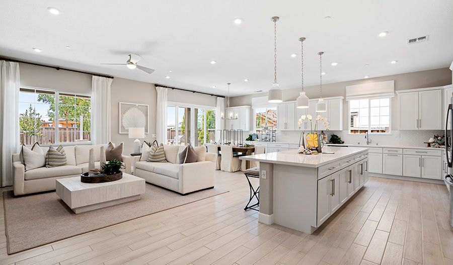 Kitchen and Great Room