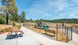 Seasons at Loma Rica Ranch - Grass Valley, CA