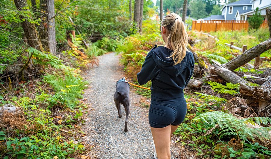 Uplands Trail