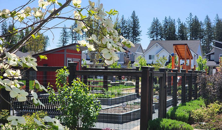 Ten Trails Community Garden
