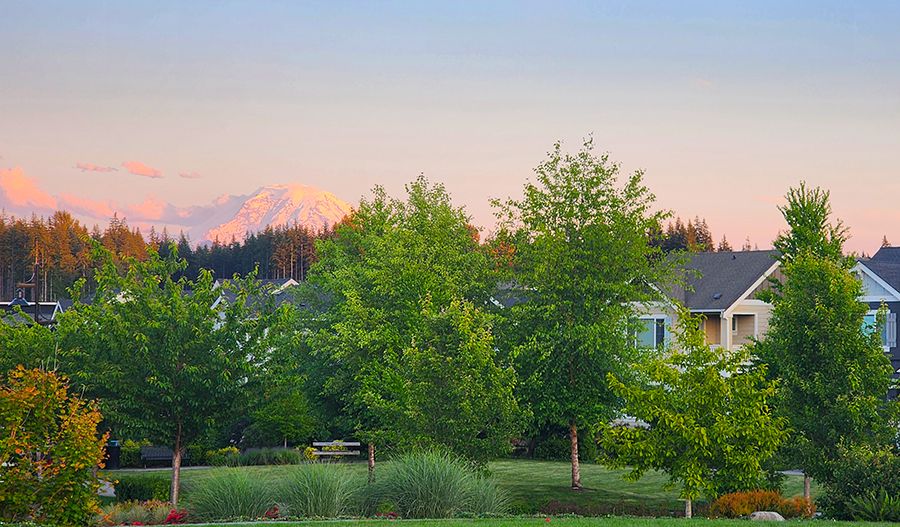 Ten Trails Community Overlook