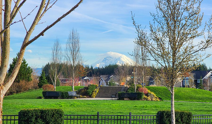 Ten Trails Community Park