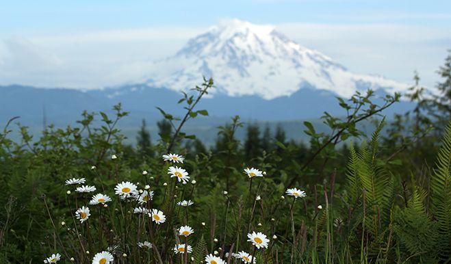 Tehaleh - Mountain Backdrop