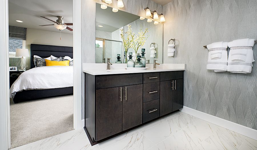 Owner's Bathroom