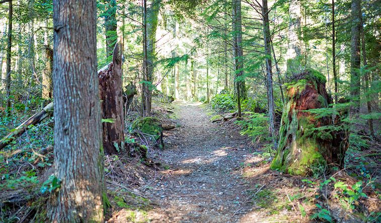Trails