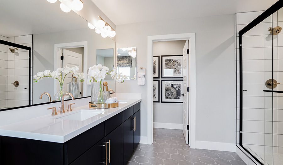 Moonstone-SAC-Bathroom