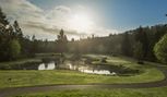Olympic Terrace - Port Ludlow, WA