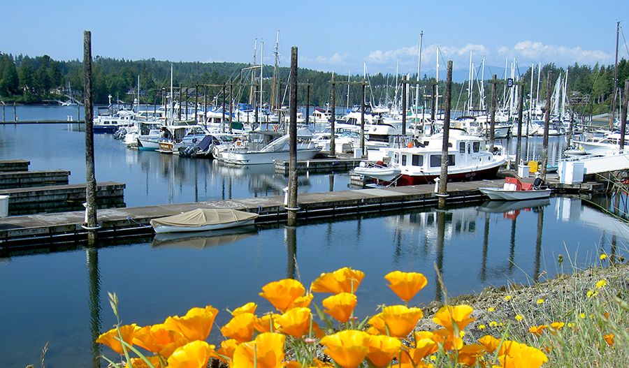 Marina