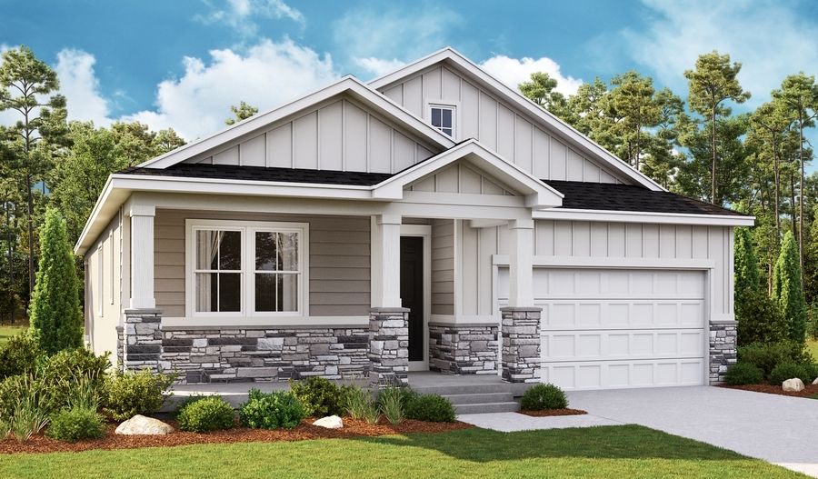 The Anika Elevation E