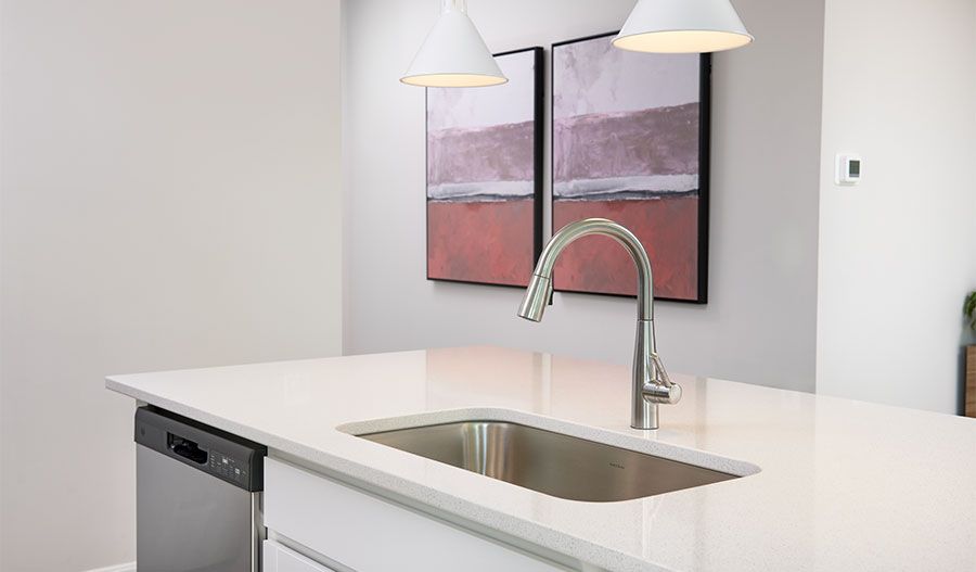 Coral-U903-Kitchen