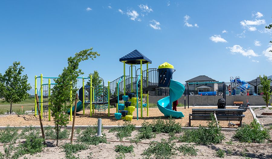 Playground