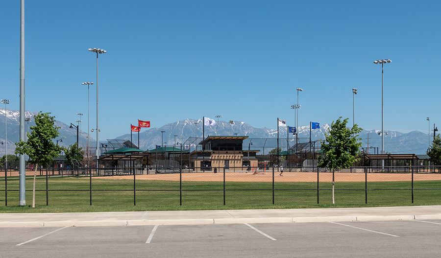 Field
