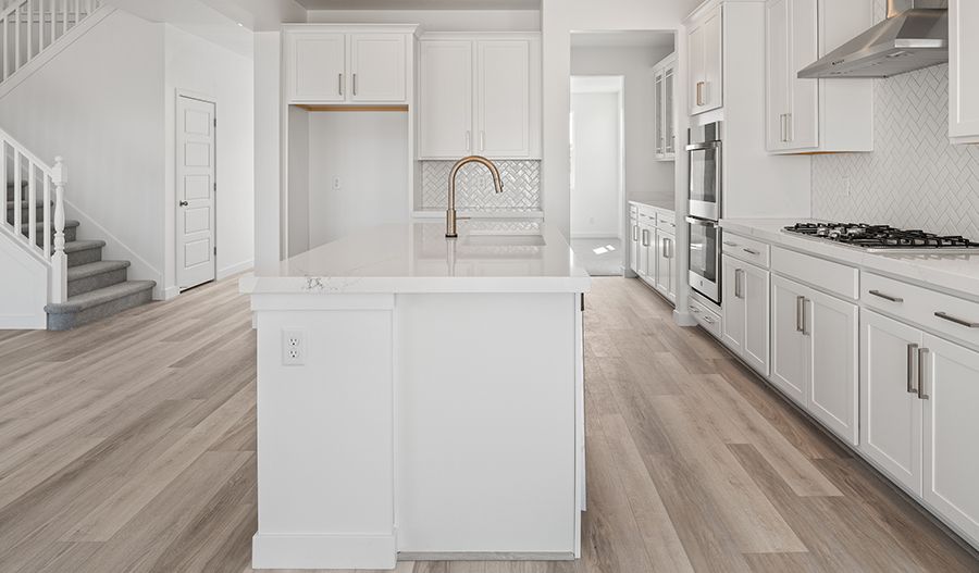 The Dillon