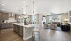 casa en Pony Express Estates por Richmond American Homes