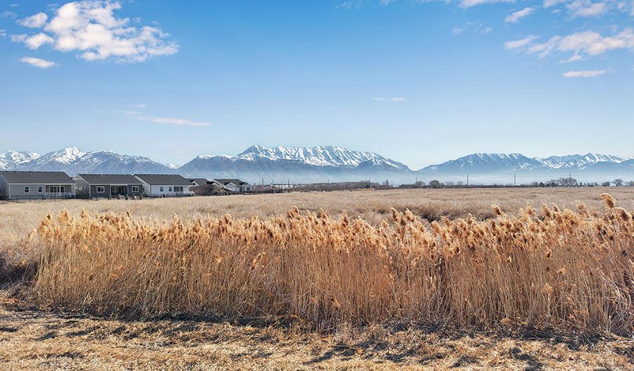 Springs Village at Wander Park