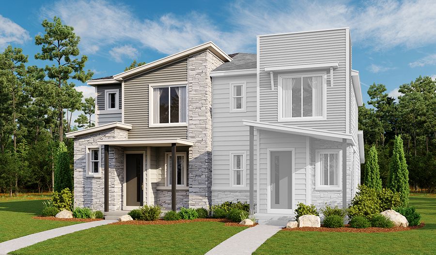 The Boston Elevation D