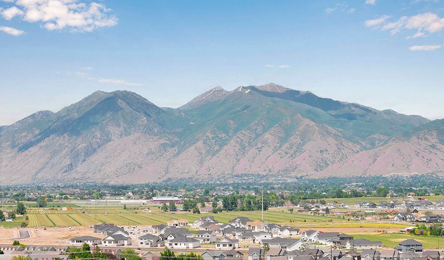 Canyon View Meadows Aerial