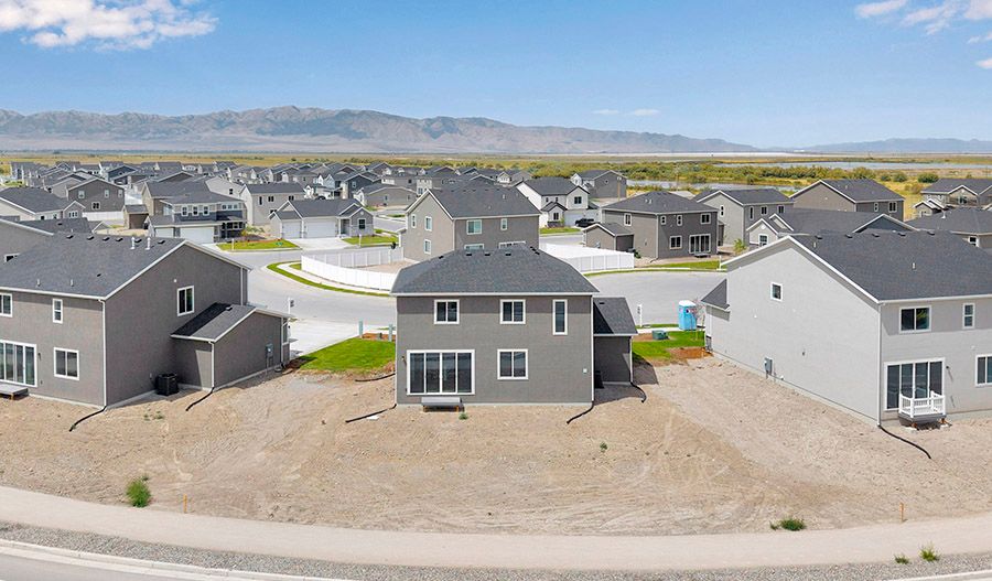 335 W. Wrangler Cove (Coral)