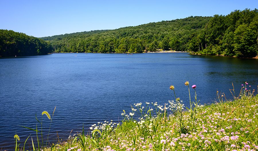 Cunningham Falls State Park