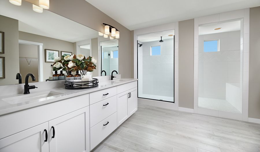 Owner's Bathroom