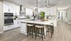 casa en Verona Heights por Richmond American Homes